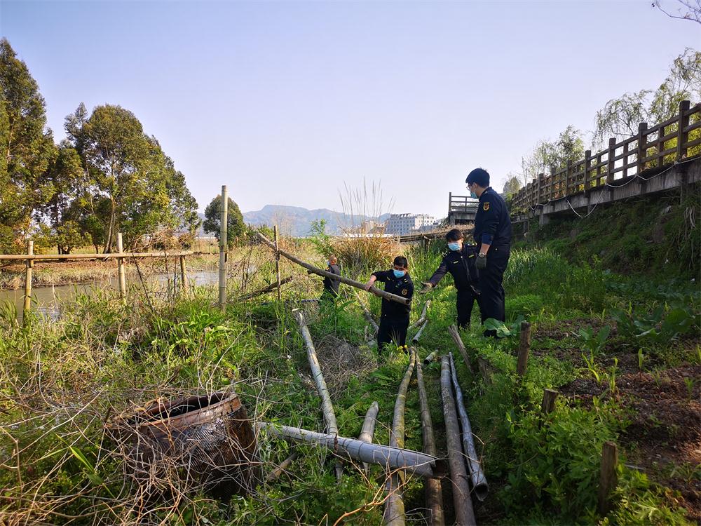 太姥山镇：开展河道整治专项行动 加强河道环境保护