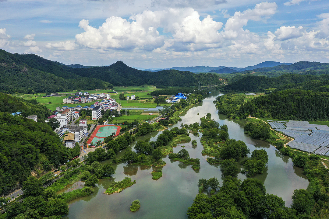 每日一景遇见最美楠木林品味醉人的风光