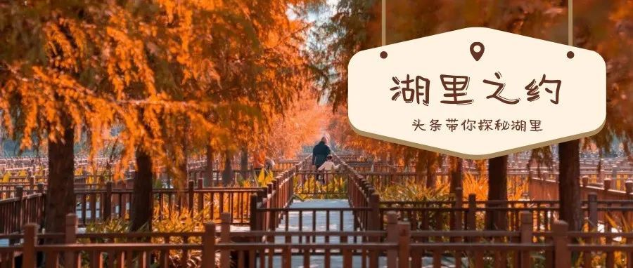 周末见 | 这里的冬天没有雪花，但会有属于你的童话！