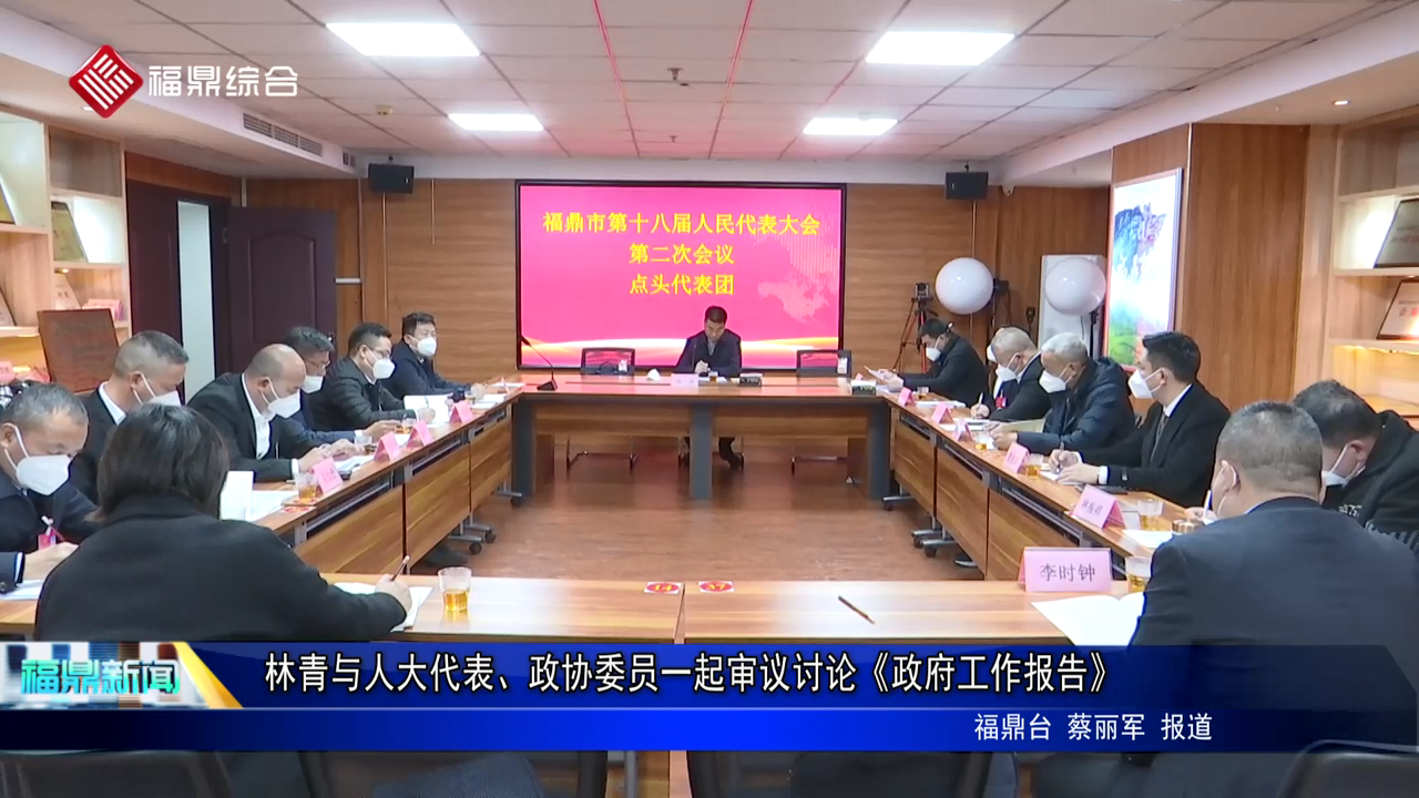 林青與人大代表、政協委員一起審議、討論《政府工作報告》