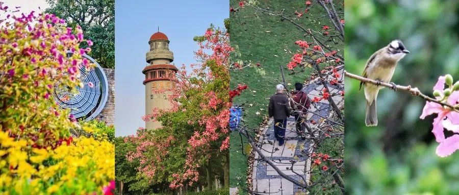 草长莺飞，美好正在路上，快来湖里遇见春天！