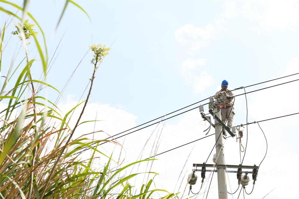 市供電公司：線路綜合檢修 為鄉村振興“充電賦能”