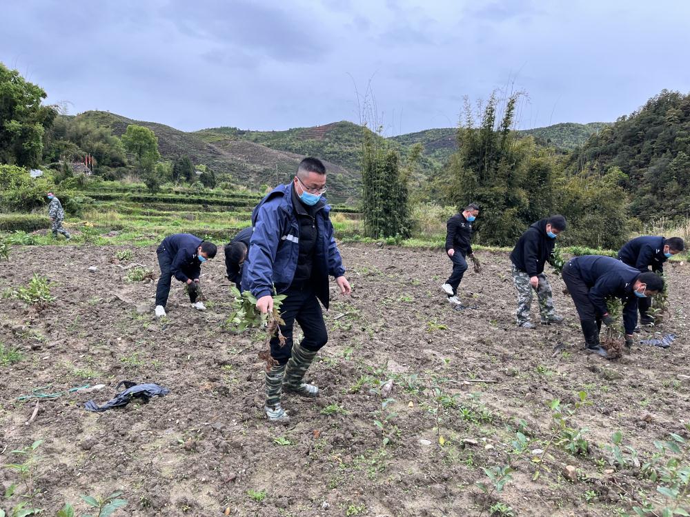 佳阳畲族乡开展耕地“非粮化”专项整治行动