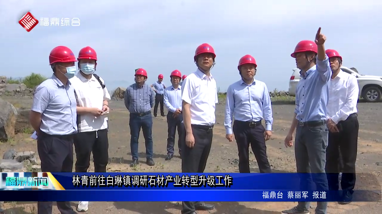 林青前往白琳鎮調研石材產業轉型升級工作