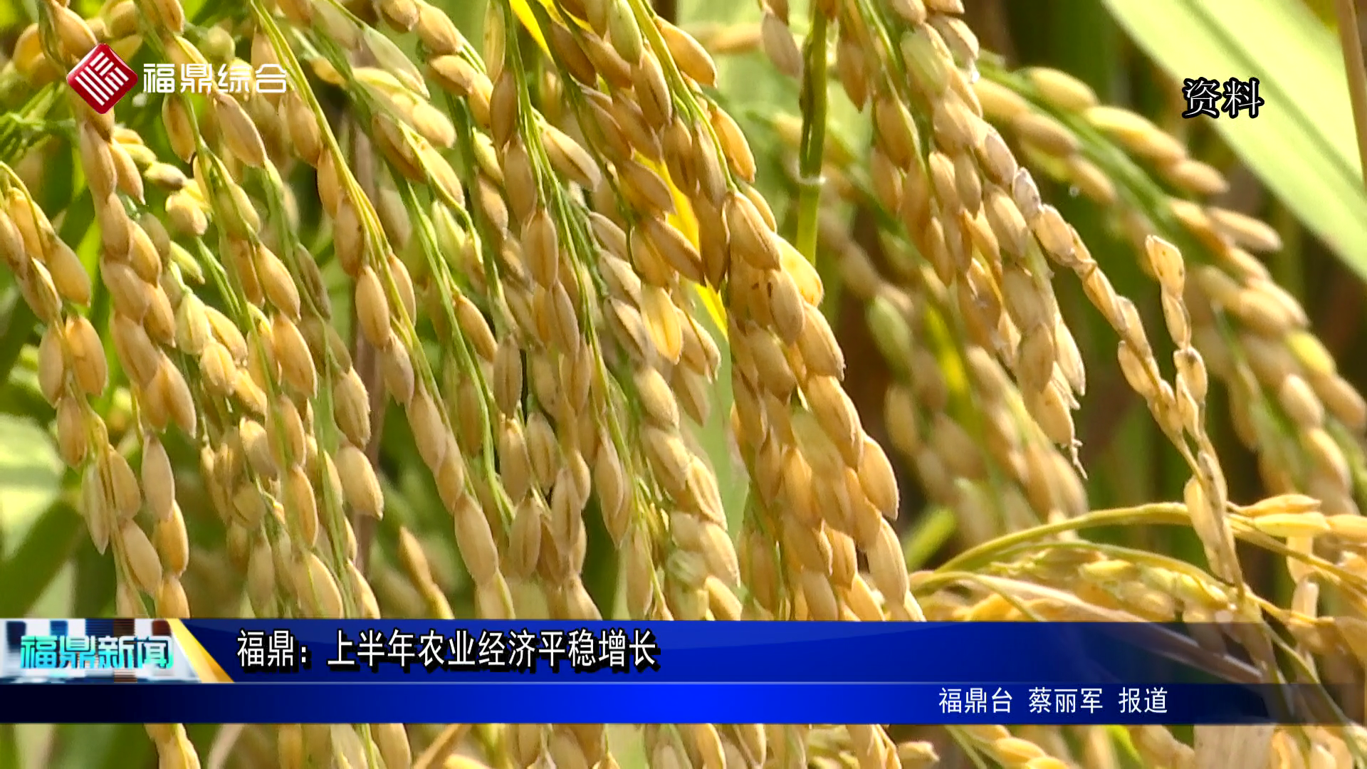 福鼎：上半年农业经济平稳增长