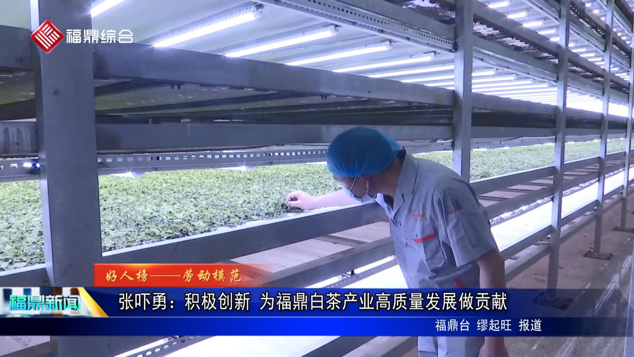 张吓勇：积极创新 为福鼎白茶产业高质量发展做贡献